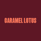 Caramel Lotus
